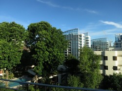 The Levelz (D10), Condominium #161503772